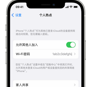 琼海apple服务站点分享iPhone上个人热点丢失了怎么办 