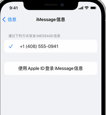 琼海apple维修iPhone上无法正常发送iMessage信息