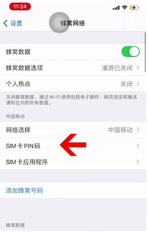 琼海苹果14维修网分享如何给iPhone14的SIM卡设置密码 