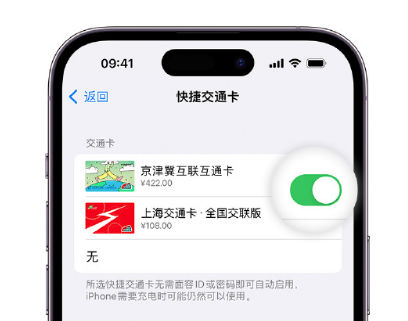 琼海apple维修点分享iPhone上更换Apple Pay快捷交通卡手绘卡面 