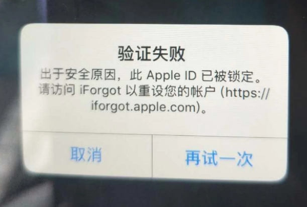 琼海iPhone维修分享iPhone上正常登录或使用AppleID怎么办 