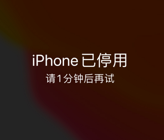 琼海苹果手机维修分享:iPhone 显示“不可用”或“已停用”怎么办？还能保留数据吗？ 