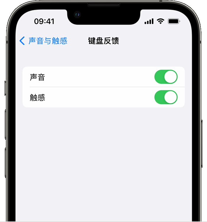 琼海苹果14维修店分享如何在 iPhone 14 机型中使用触感键盘 