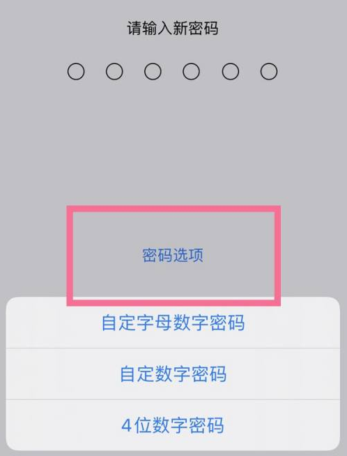 琼海苹果14维修分享iPhone 14plus设置密码的方法 