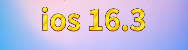 琼海苹果服务网点分享苹果iOS16.3升级反馈汇总 