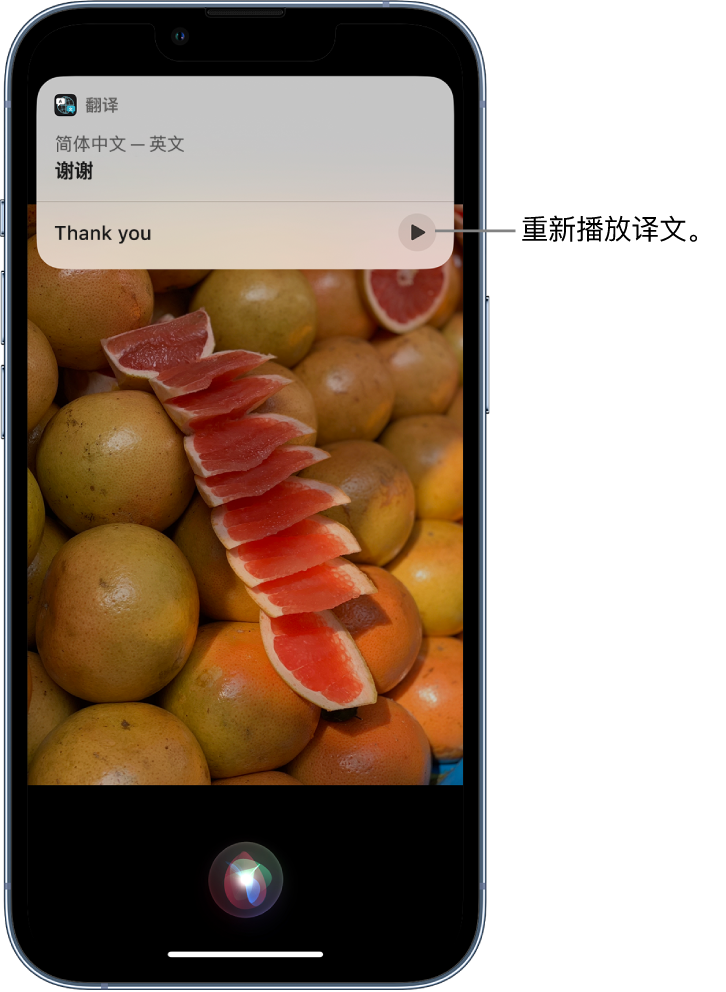 琼海苹果14维修分享 iPhone 14 机型中使用 Siri：了解 Siri 能帮你做什么 