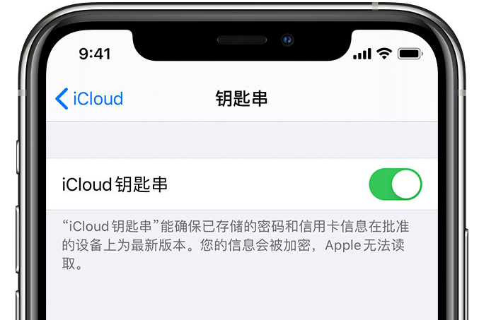 琼海苹果手机维修分享在 iPhone 上开启 iCloud 钥匙串之后会储存哪些信息 