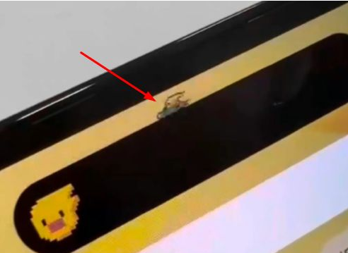 琼海苹果14维修分享iPhone 14 Pro Max灵动岛怎么养宠物 