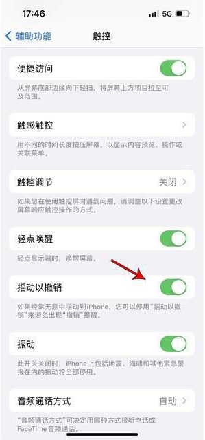 琼海苹果手机维修分享iPhone手机如何设置摇一摇删除文字 