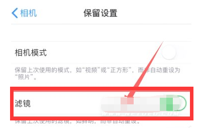 琼海苹果13维修分享iPhone13拍照有绿点是怎么回事 