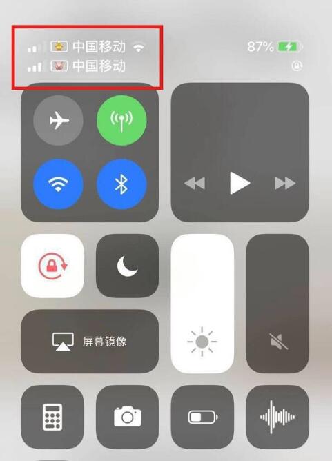 琼海苹果手机维修分享为 iPhone 12 双卡设置标签 
